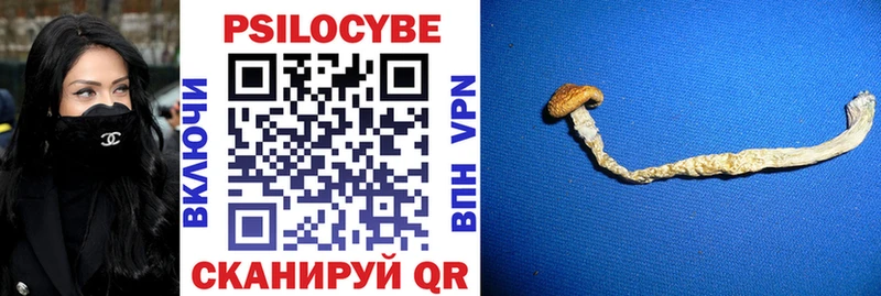 Псилоцибиновые грибы Psilocybine cubensis  Ртищево 