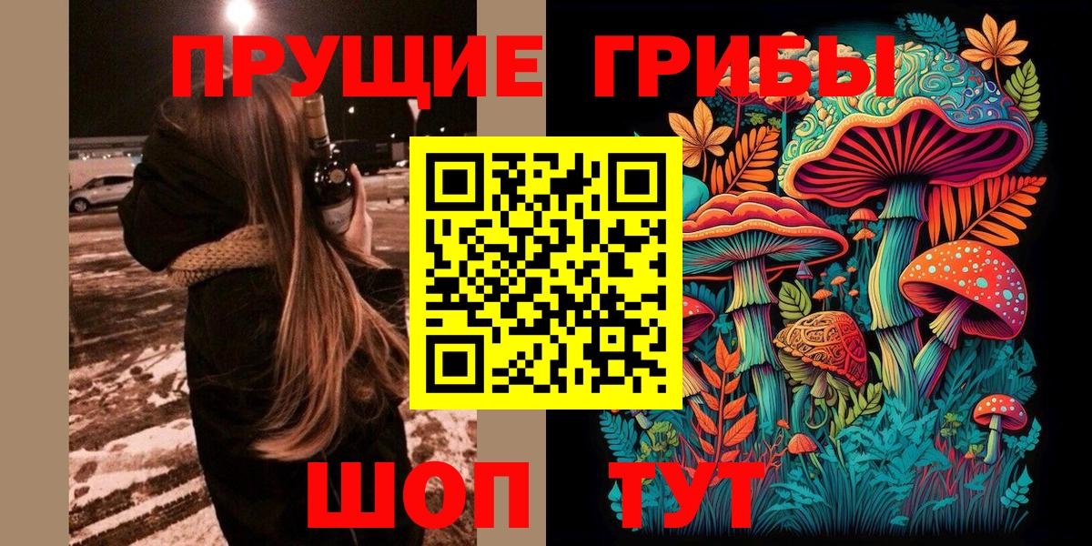 Ртищево  Галлюциногенные грибы Psilocybe  наркота  Вход с VPN 