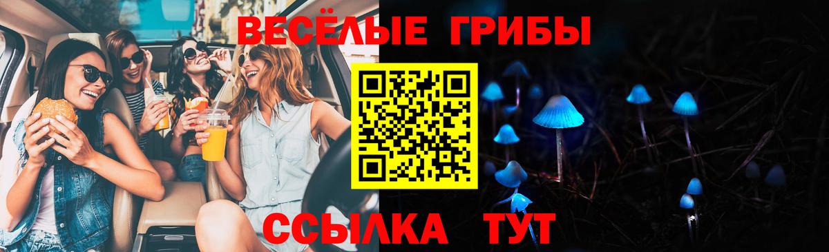 Псилоцибиновые грибы GOLDEN TEACHER Ртищево